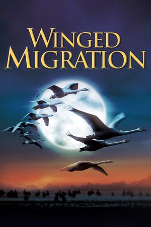 Winged Migration's poster