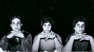 Three Identical Strangers's poster