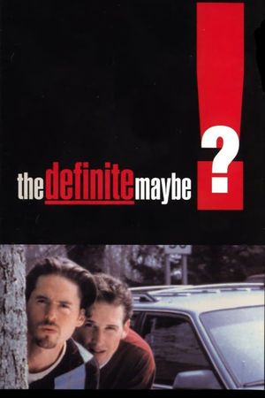 The Definite Maybe's poster