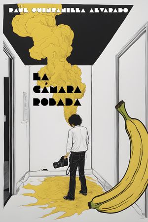 La Cámara Robada's poster