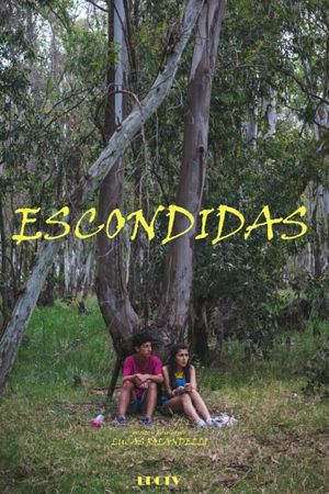 Escondidas's poster