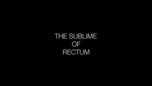 The Sublime of Rectum's poster