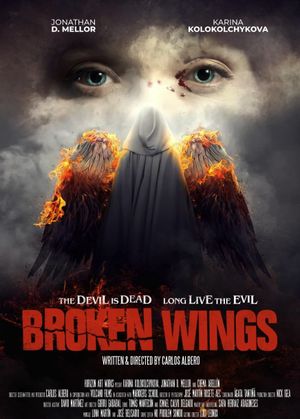 Broken Wings's poster