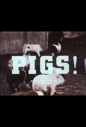 Pigs!'s poster