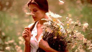 Stealing Beauty's poster
