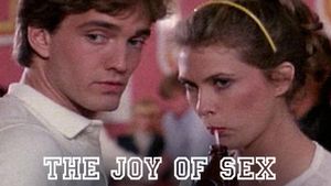 Joy of Sex's poster