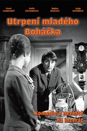 Young Bohácek's Sufferings's poster