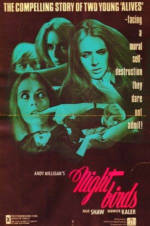 Nightbirds's poster