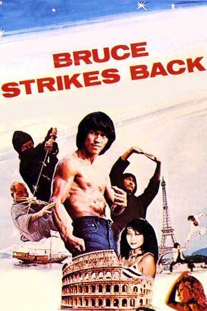 Ninja Strikes Back's poster