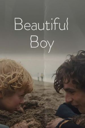 Beautiful Boy's poster