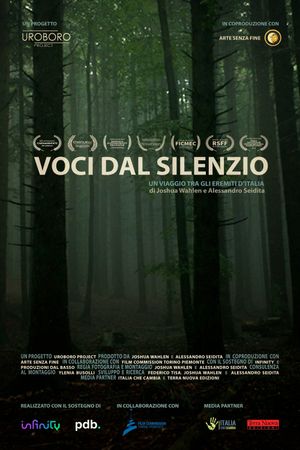 Voices from the Silence's poster