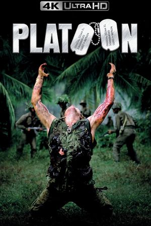 Platoon's poster
