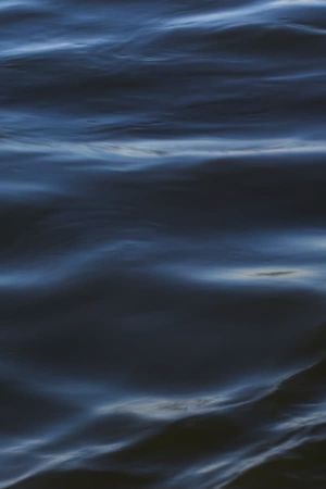 The Flood's poster