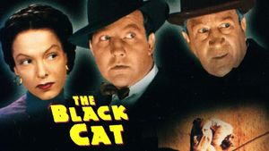 The Black Cat's poster