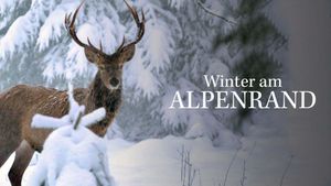 White Winter's poster