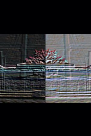 Cylinder Seal's poster