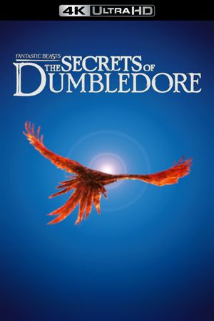 Fantastic Beasts: The Secrets of Dumbledore's poster