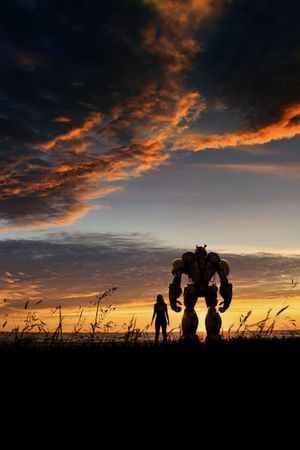 Bumblebee's poster