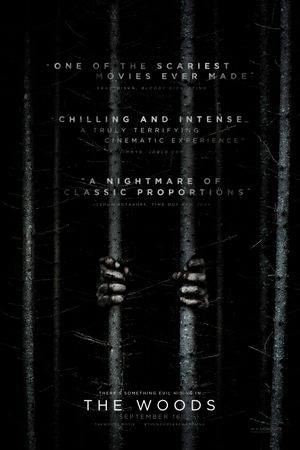 Blair Witch's poster