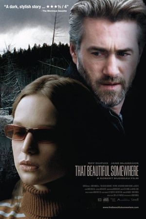 That Beautiful Somewhere's poster image