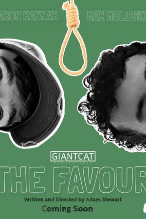 The Favour's poster