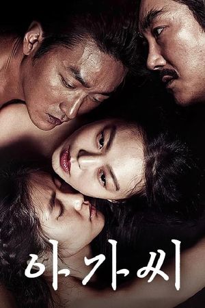 The Handmaiden's poster