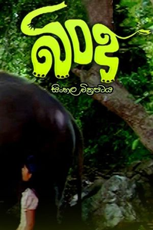 Bindu's poster