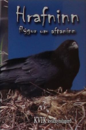 The Bird of Wisdom: The Raven's poster