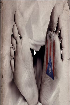 Collapse's poster