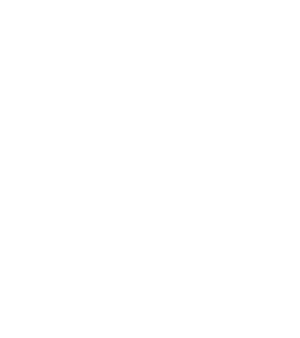 忠义侠女's poster