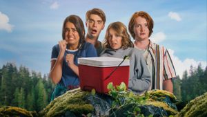 The Package's poster