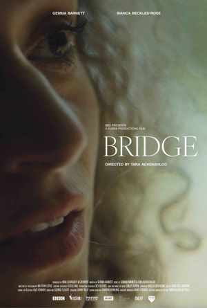 Bridge's poster image