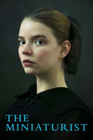 The Miniaturist's poster