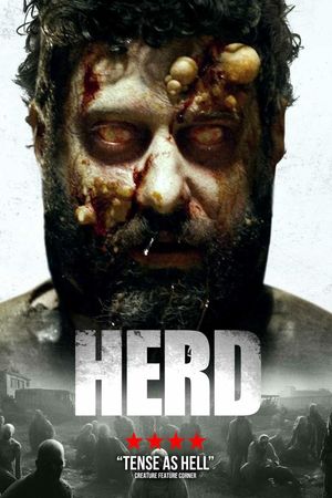 Herd's poster