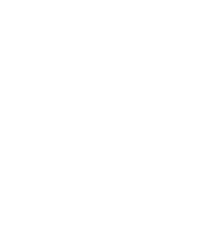 Eyes of a Stranger's poster