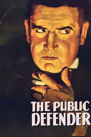 The Public Defender's poster