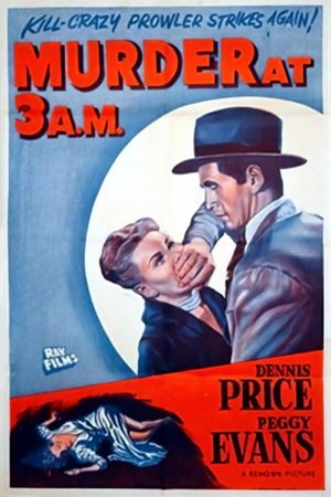 Murder at 3am's poster