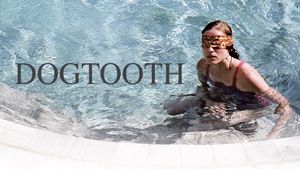 Dogtooth's poster
