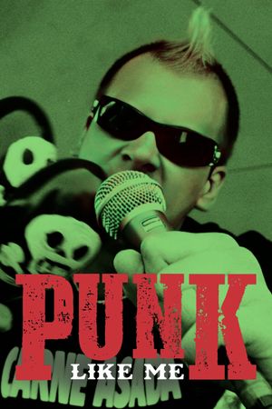 Punk Like Me's poster