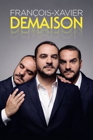 François-Xavier Demaison - Les Dernières's poster