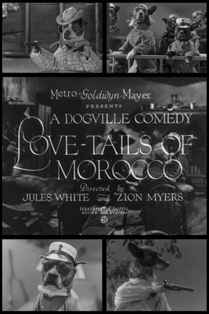 Love-Tails of Morocco's poster