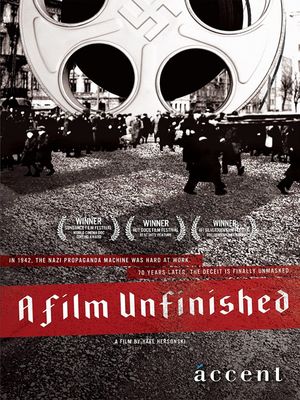 A Film Unfinished's poster