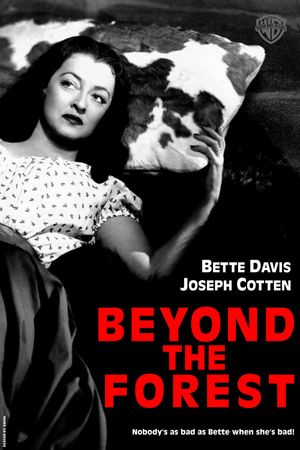 Beyond the Forest's poster