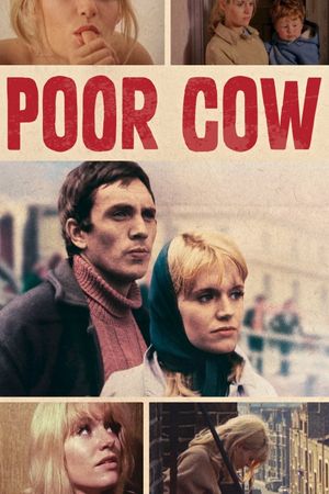 Poor Cow's poster