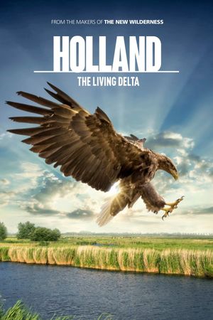 Holland: Natuur in de Delta's poster