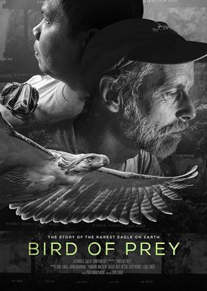 Bird of Prey's poster