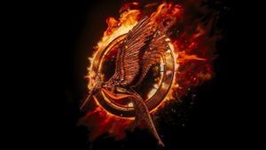 The Hunger Games: Catching Fire's poster