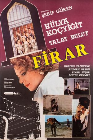 Firar's poster