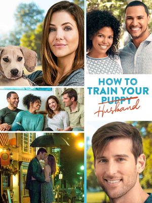 How to Train Your Husband or (How to Pick Your Second Husband First)'s poster