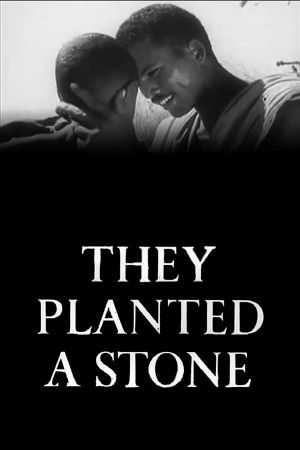 They Planted a Stone's poster